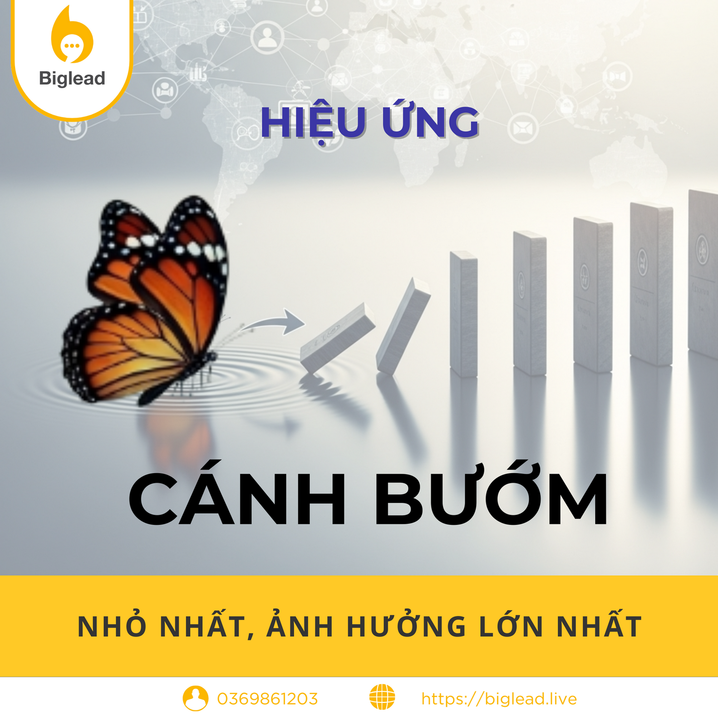 Hiệu ứng cánh bướm trong kinh doanh: Khi một thay đổi nhỏ tạo ra những chuyển biến lớn