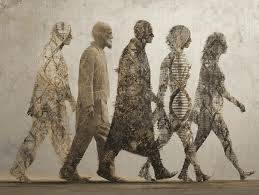 Ảnh 2: Bản chất tiến hoá