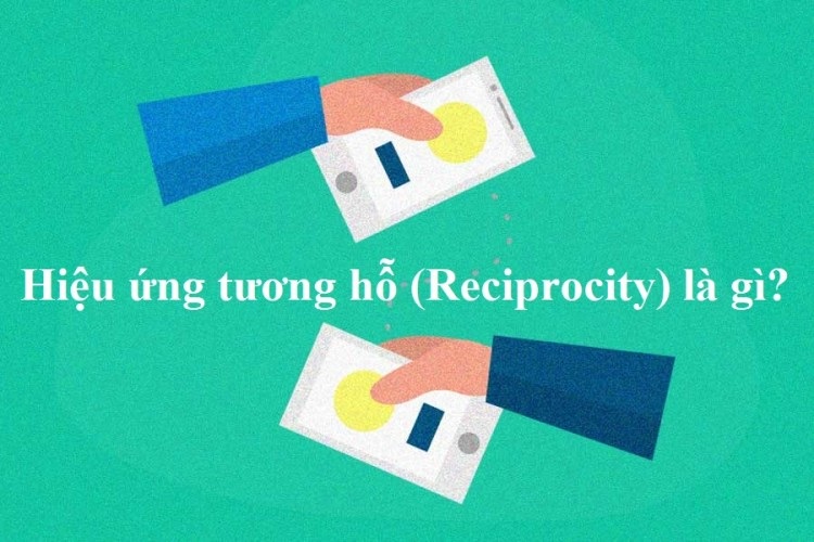 Ảnh 1: Hiệu ứng tương hỗ là gì?