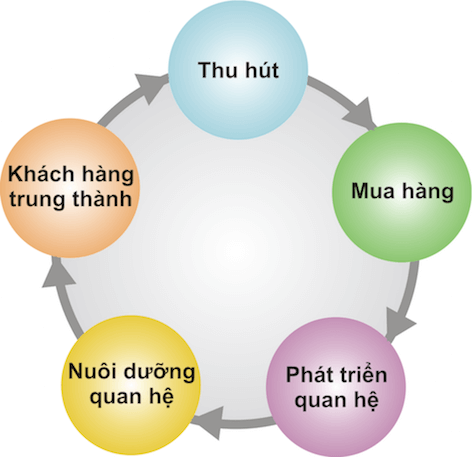 Ảnh 5:  Dữ liệu giúp gia tăng giá trị vòng đời khách hàng
