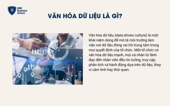 Ảnh 8: Xây dựng văn hóa dữ liệu trong doanh nghiệp