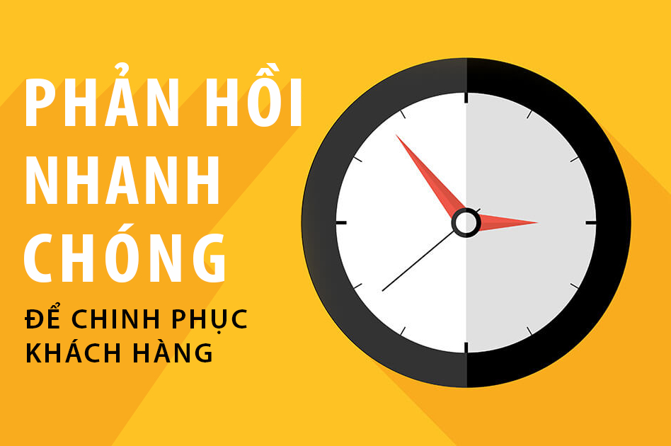 Ảnh 7: Phản hồi nhanh chóng và chuyên nghiệp